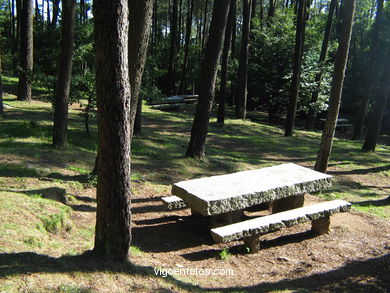 Parque forestal la Madroa
(Parques forestales)
. 