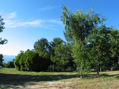 Parque forestal de Oia (Vigo). 