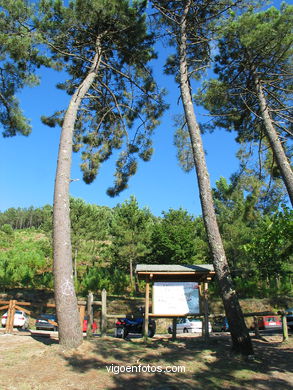 Parque forestal de Oia (Vigo). 