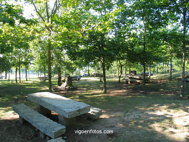 Parque forestal de Oia (Vigo). 