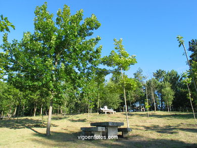 Parque forestal de Oia (Vigo). 