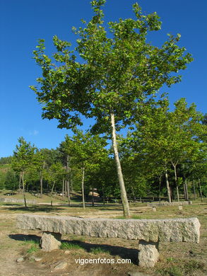Forest park of Oia. 