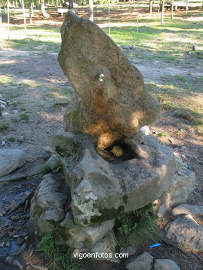 Parque forestal de Oia (Vigo). 