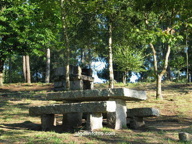 Parque forestal de Oia (Vigo). 