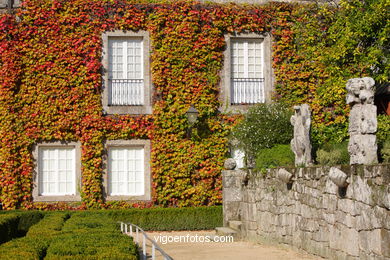 Autumn Landscapes. Flora and fauna. 