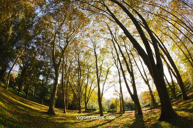 Autumn Landscapes. Flora and fauna. 