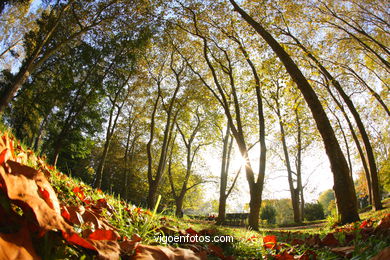 Autumn Landscapes. Flora and fauna. 