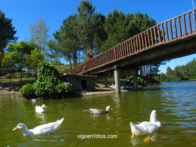 Forest park of 'Los Pozos'. 