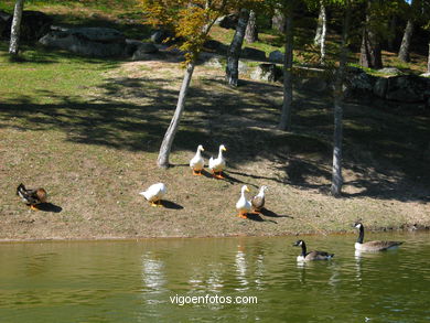 Forest park of 'Los Pozos'. 
