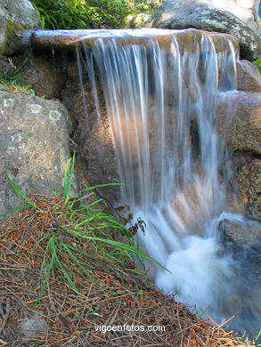 Forest park of 'Los Pozos'. 