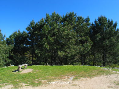 Forest park of 'Los Pozos'. 