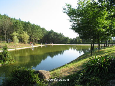 Forest park of 'Los Pozos'. 