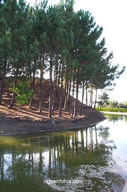 Monte de los Pozos . 