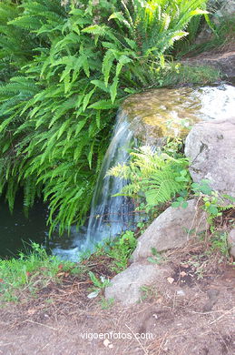 Forest park of 'Los Pozos'.