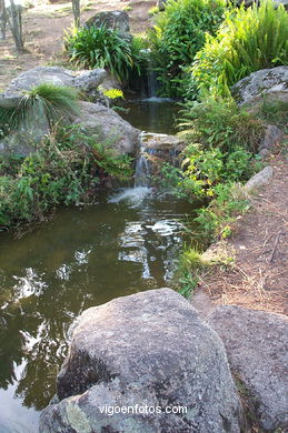 Forest park of 'Los Pozos'.