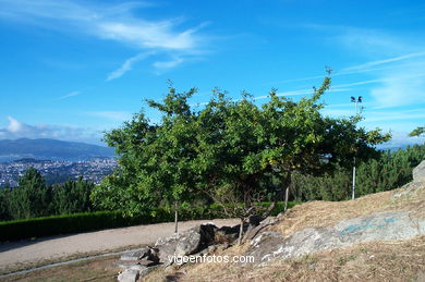 Monte de los Pozos . 