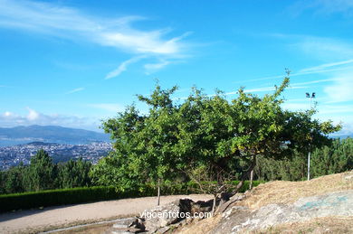 Monte de los Pozos . 