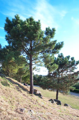Monte de los Pozos . 