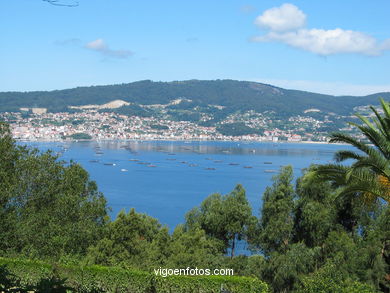 Paisajes de la R�a de Vigo. 