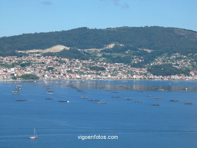 The ria of vigo
(Sea, river and dams)
. 