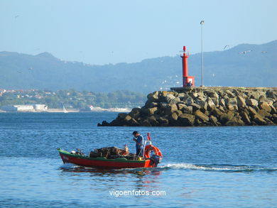 Paisajes de la R�a de Vigo. 