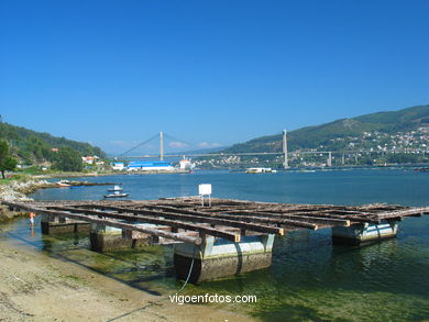 Paisajes de la R�a de Vigo. 