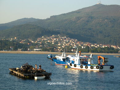La R�a de Vigo. Mar, r�o y embalses. 