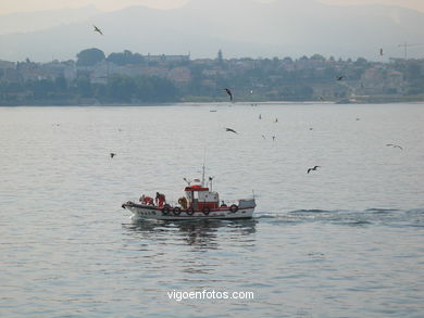 Paisajes de la R�a de Vigo. 
