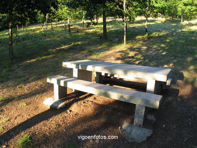 Parque forestal de Sai�ns (Vigo). 