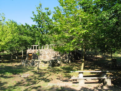 Parque forestal de Sai�ns (Vigo). 