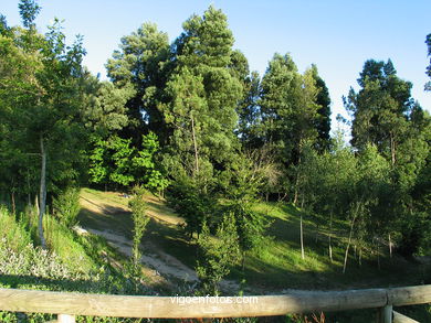 Parque Forestal Vixiador (Vigo). 