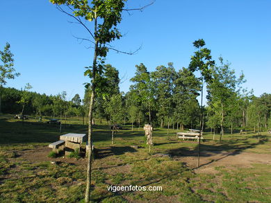 Parque Forestal Vixiador (Vigo). 