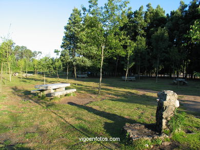 Parque Forestal Vixiador (Vigo). 