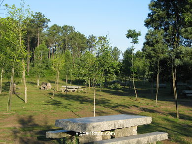 Parque Forestal Vixiador (Vigo). 