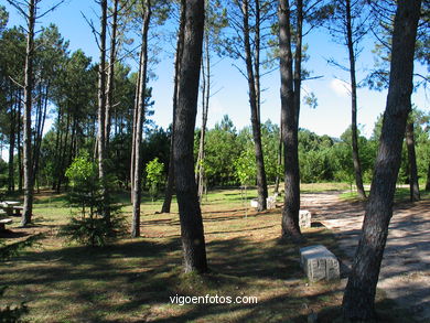 Parque forestal de Zamáns. Parques forestales.