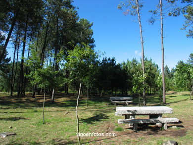 Parque forestal de Zamáns. Parques forestales.