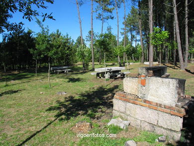 Parque forestal de Zamáns. Parques forestales.