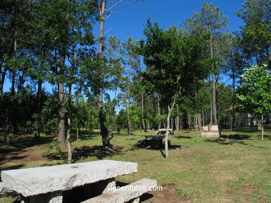 Parque forestal de Zamáns. Parques forestales.