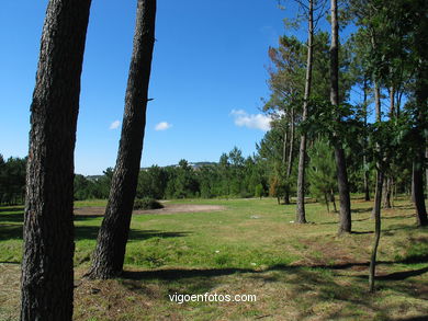 Parque forestal de Zamáns. Parques forestales.