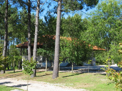 Parque Forestal de Zam�ns - Vigo. 