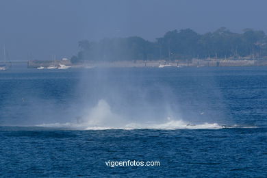 Helicopter. Air accident. Airshow 2006. Vigo (Spain).