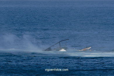 Helicopter. Air accident. Airshow 2006. Vigo (Spain).