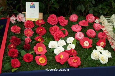 Exposici�n de la camelia 2002. 