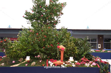 Camellia competition 2002.