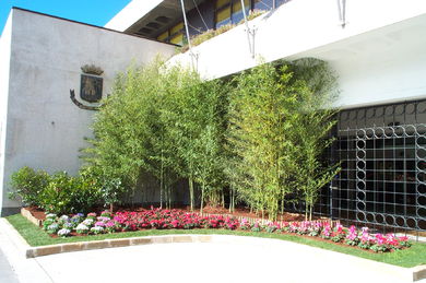 Camellia competition 2002. 