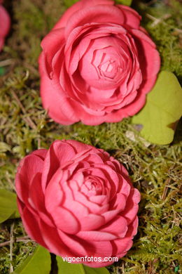 Exposici�n de la camelia 2005. 