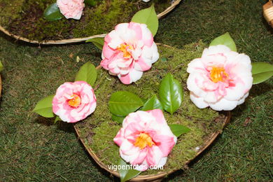 XLI Concurso-exposición de la Camelia 2005 en Bouzas (Vigo).