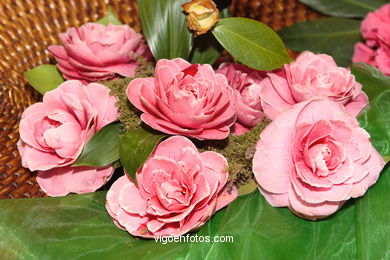 Camellia competition 2005. 