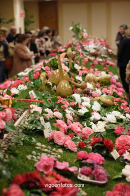 Exposici�n de la camelia 2005. 