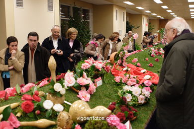 XLI Concurso-exposición de la Camelia 2005 en Bouzas (Vigo).